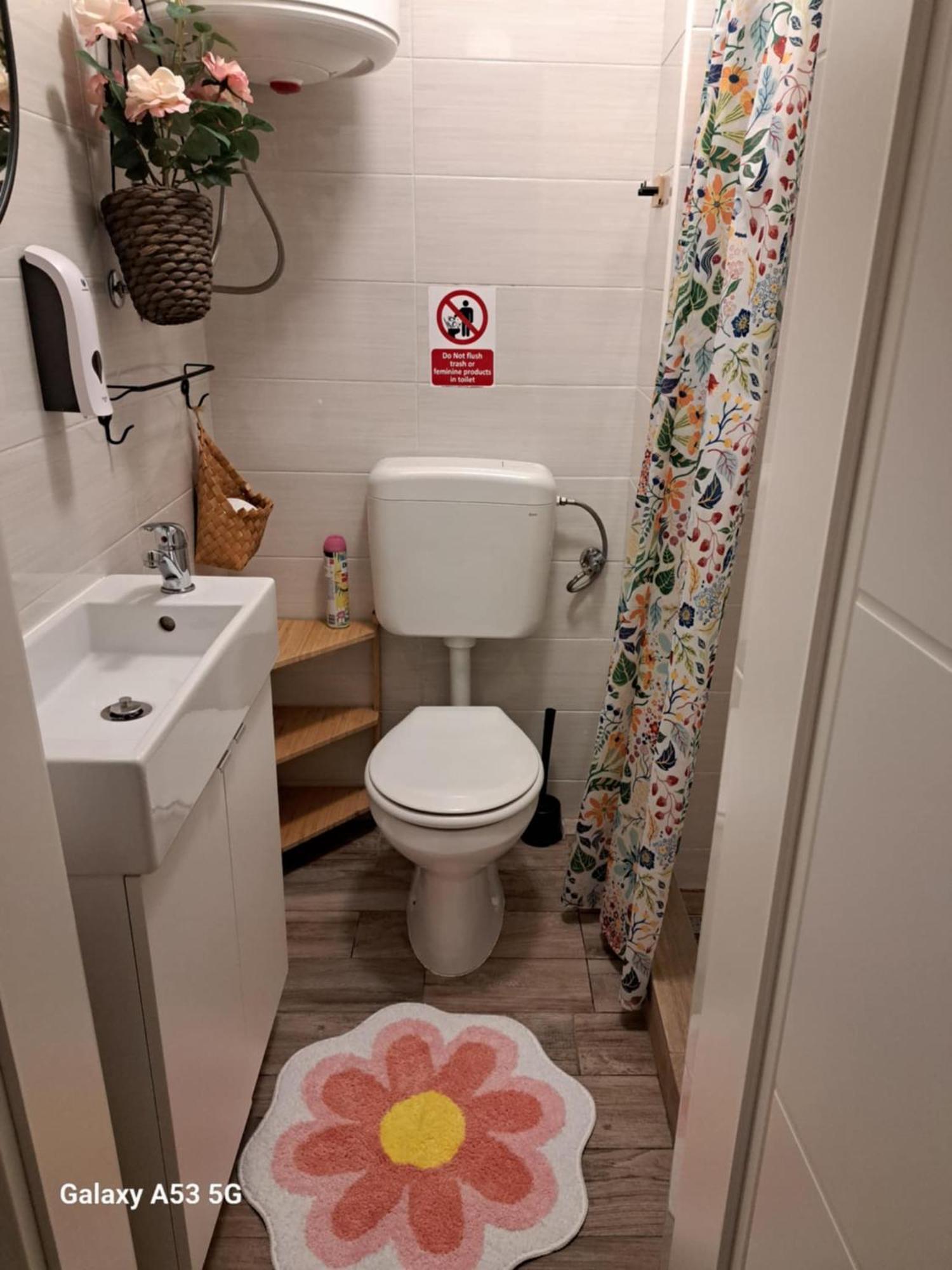 קופר Istrabella Apartment מראה חיצוני תמונה